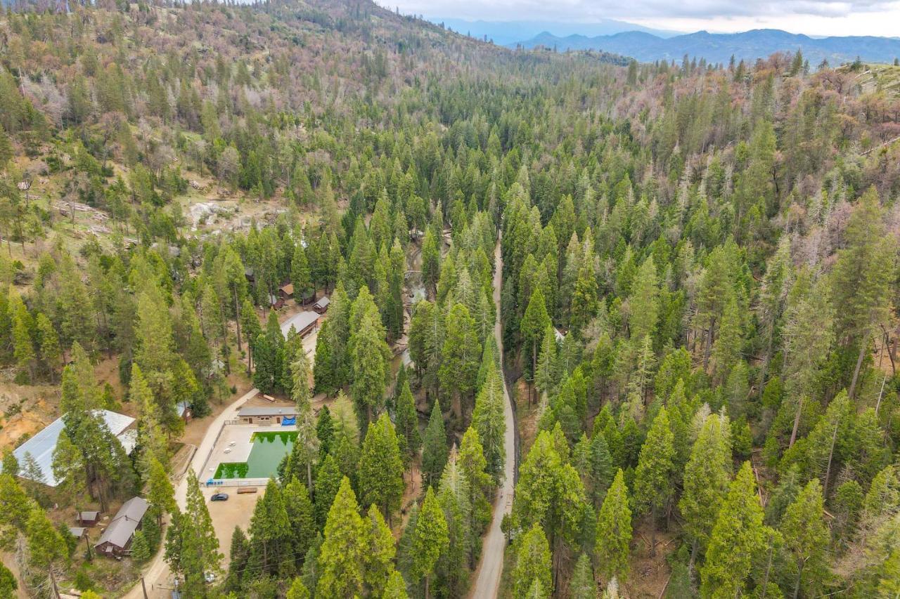 Enchanting Creekside Cabin Near Kings Canyon Park! Badger المظهر الخارجي الصورة
